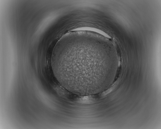 X0000115480382200911131220