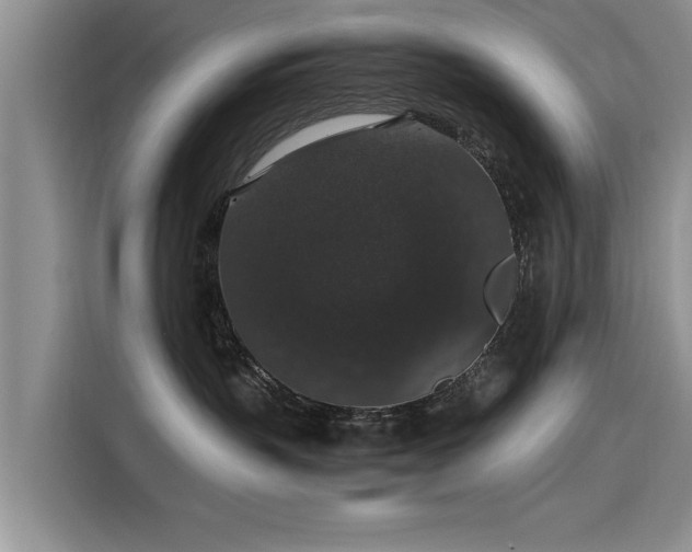 X0000115480383200911131220