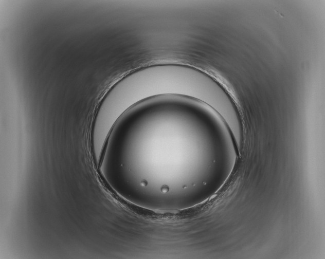 X0000115480385200911131220