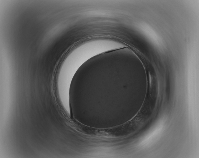 X0000115480387200911131220