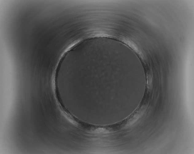 X0000115480390200911131220