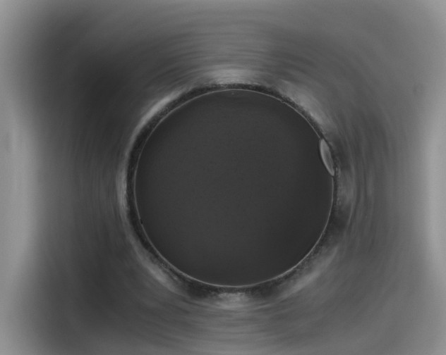 X0000115480391200911131220