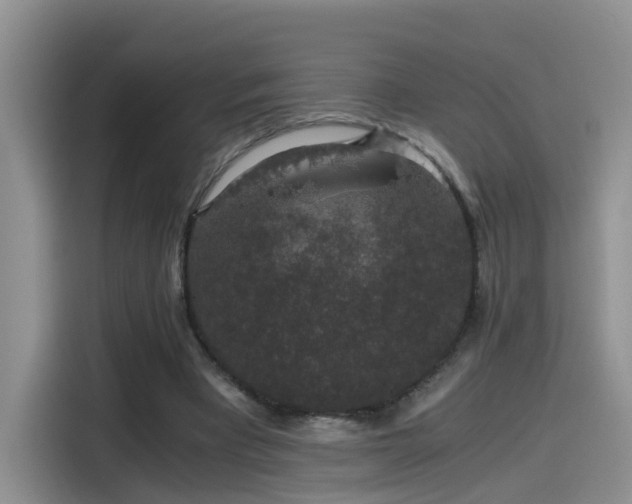 X0000115480393200911131220