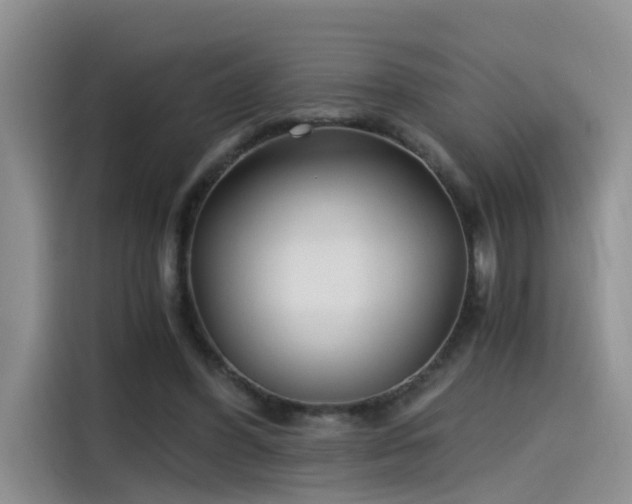 X0000115480396200911131220