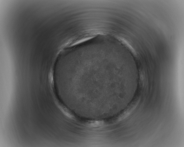 X0000115480398200911131219