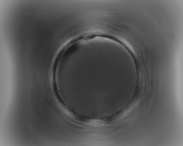 X0000115480399200911131219