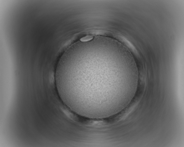 X0000115480401200911131219