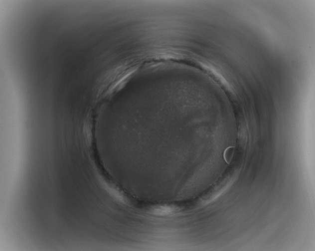 X0000115480402200911131219