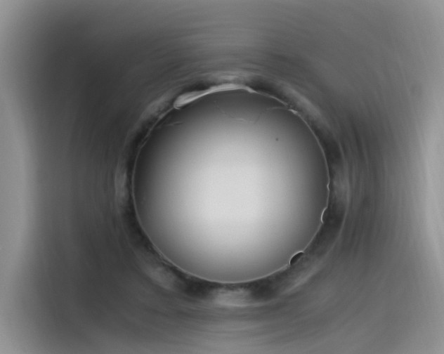 X0000115480403200911131219