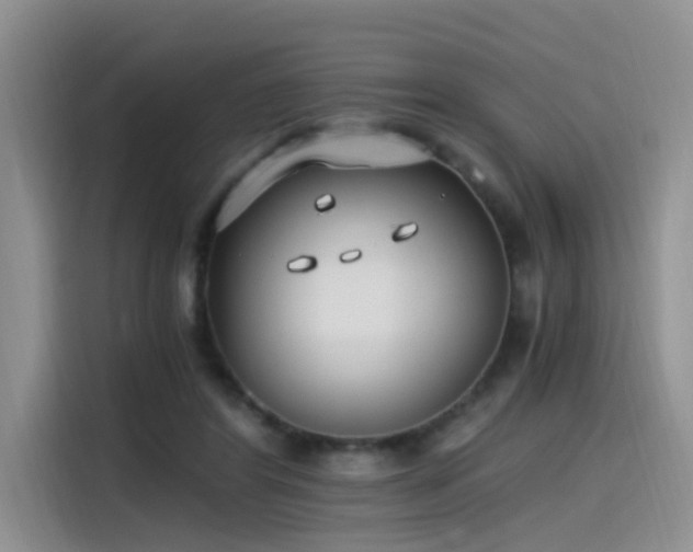 X0000115480404200911131219