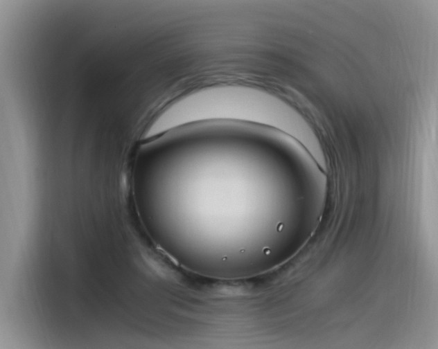 X0000115480405200911131219