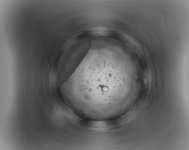 X0000115480409200911131219