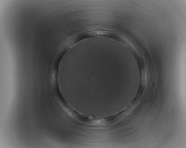 X0000115480410200911131219