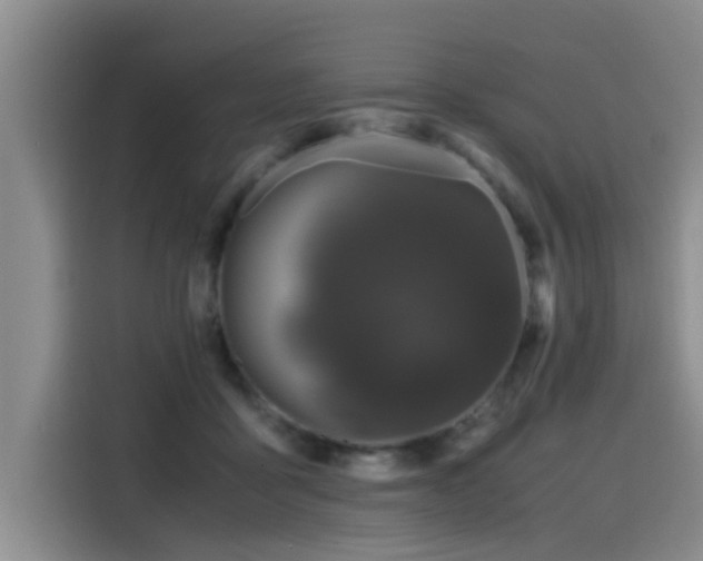 X0000115480411200911131219