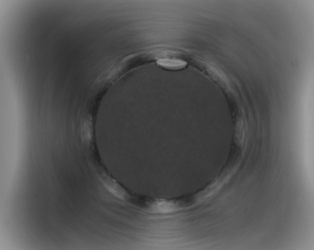 X0000115480413200911131219