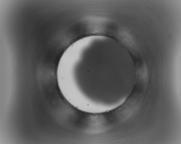 X0000115480415200911131219