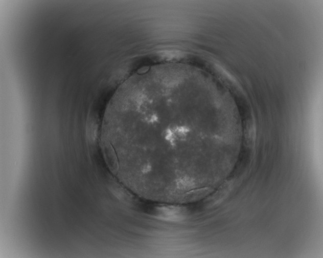 X0000115480417200911131219