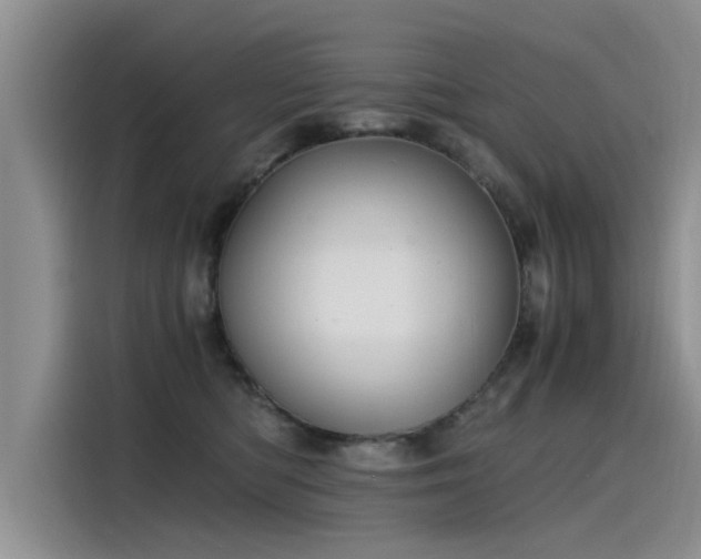 X0000115480422200911131219