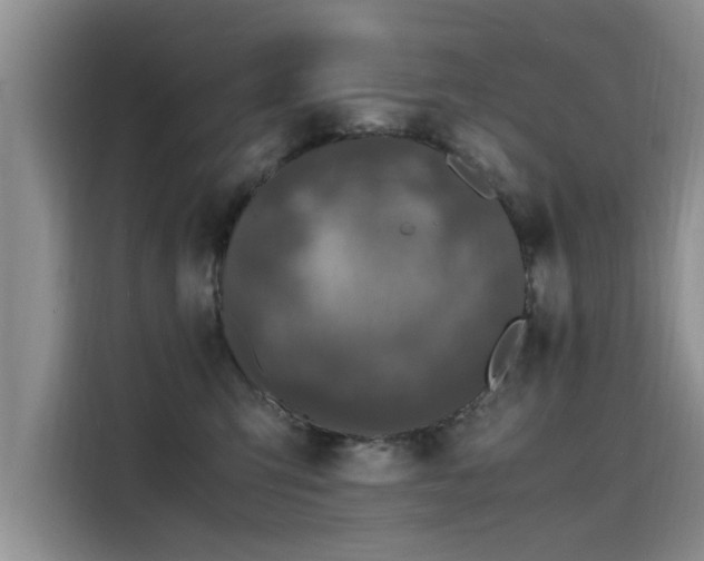 X0000115480423200911131219