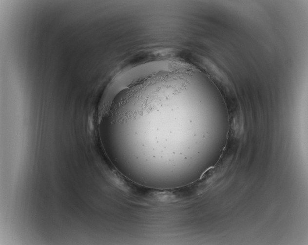 X0000115480424200911131219