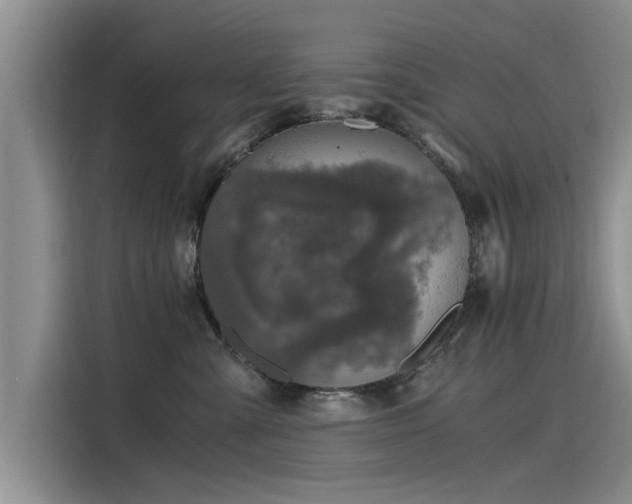 X0000115480427200911131219