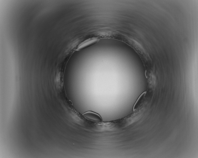 X0000115480428200911131219