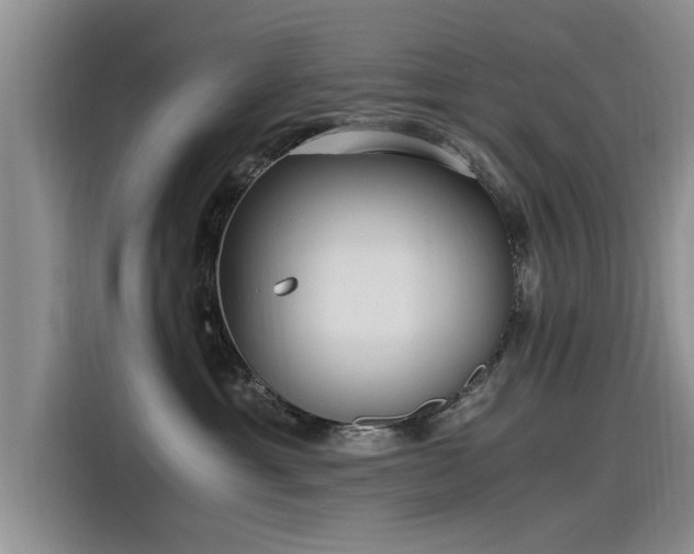 X0000115480429200911131219