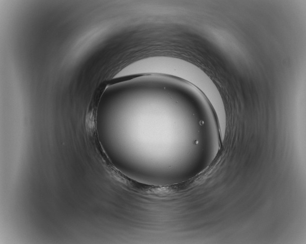 X0000115480431200911131219