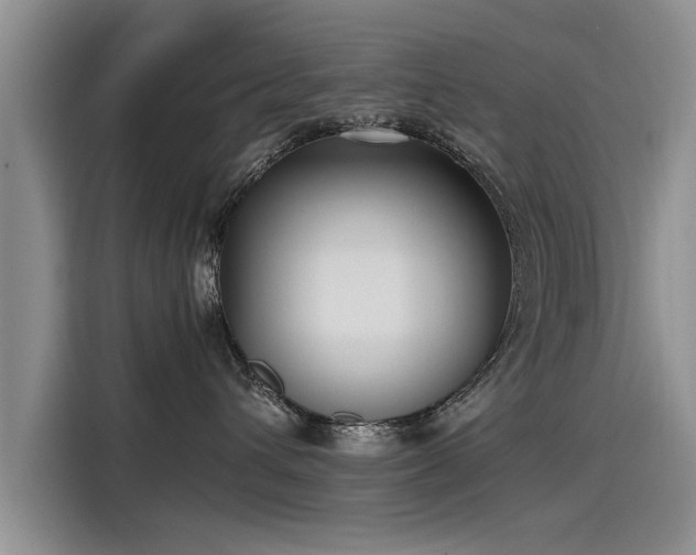 X0000115480432200911131219