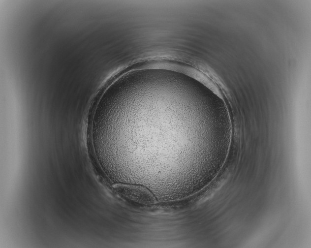 X0000115480434200911131218