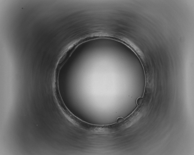 X0000115480437200911131218