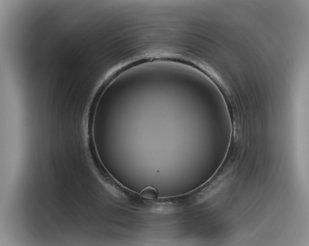 X0000115480438200911131218