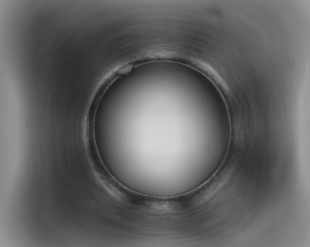 X0000115480439200911131218