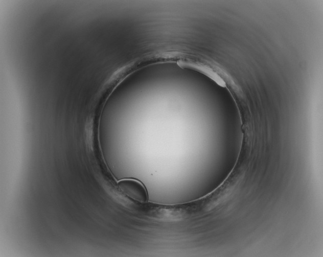 X0000115480442200911131218