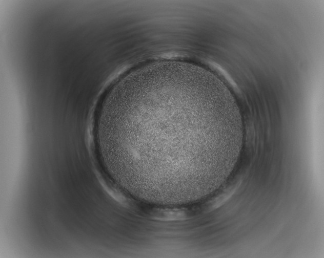 X0000115480443200911131218