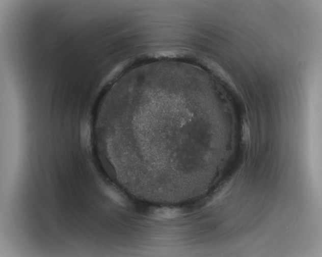 X0000115480444200911131218