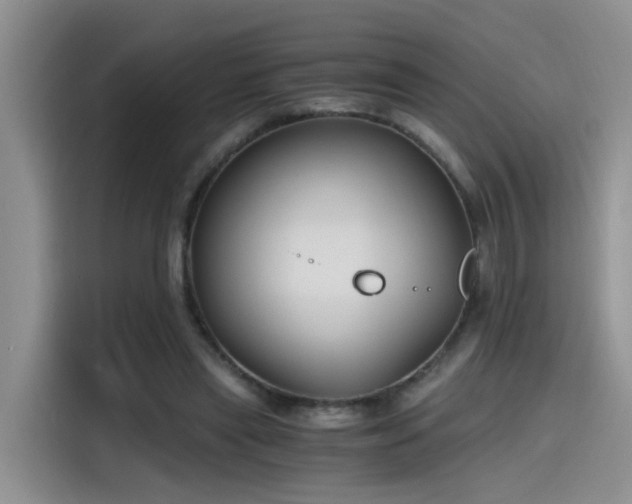 X0000115480445200911131218