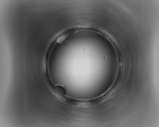 X0000115480446200911131218