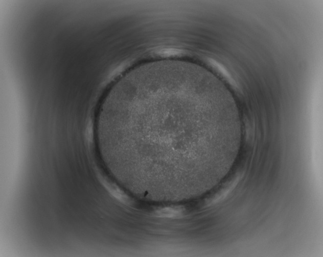 X0000115480447200911131218