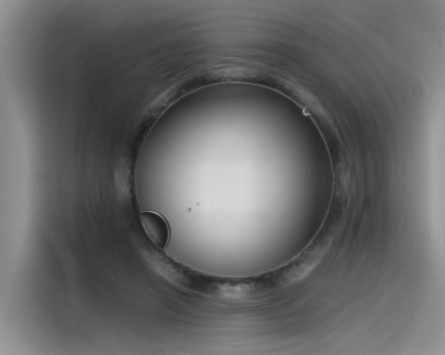 X0000115480450200911131218