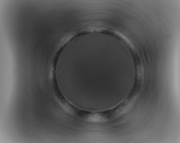 X0000115480451200911131218