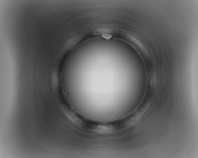 X0000115480455200911131219