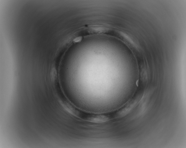 X0000115480459200911131219