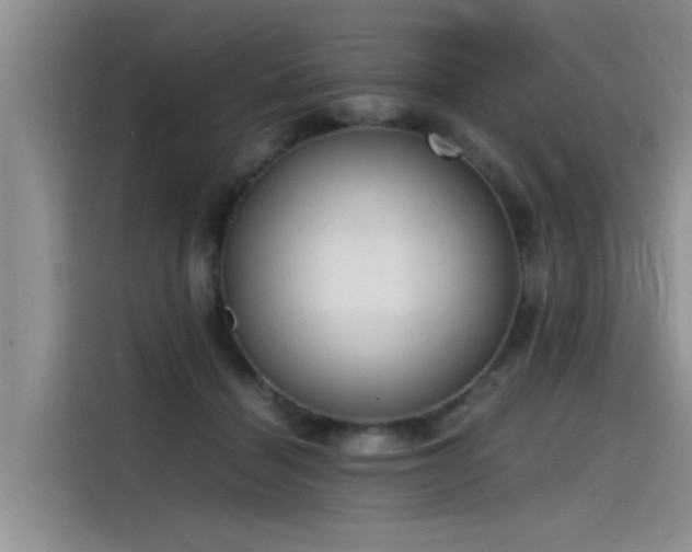 X0000115480460200911131219