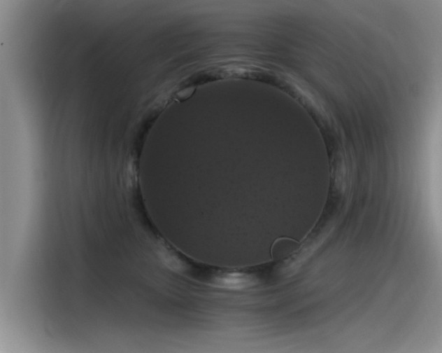 X0000115480467200911131219