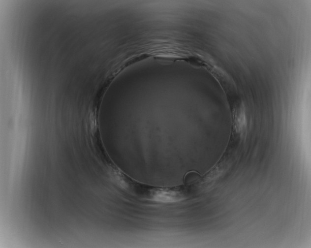 X0000115480471200911131219