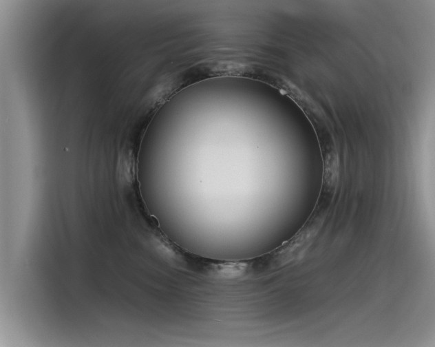 X0000115480474200911131219