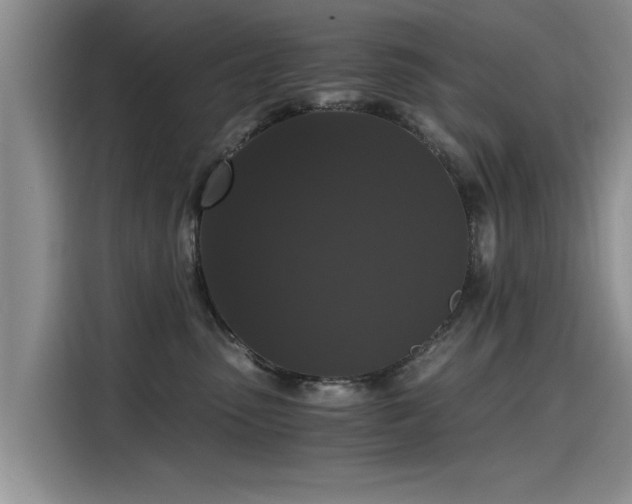 X0000115480475200911131219