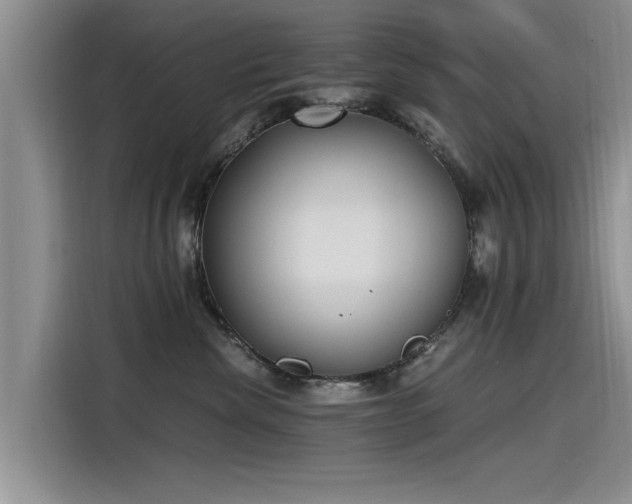 X0000115480476200911131219