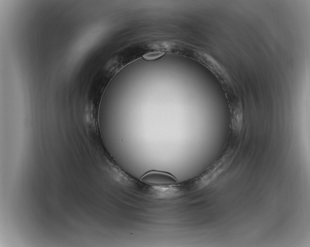 X0000115480477200911131219